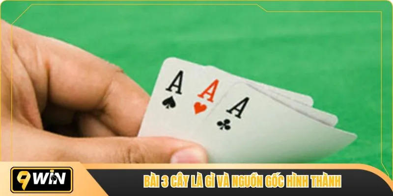 Bài 3 cây là gì và nguồn gốc hình thành