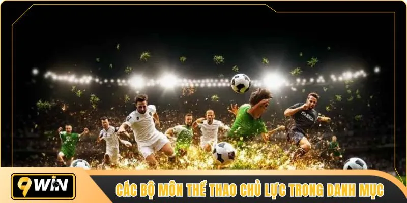 Các bộ môn thể thao chủ lực trong danh mục