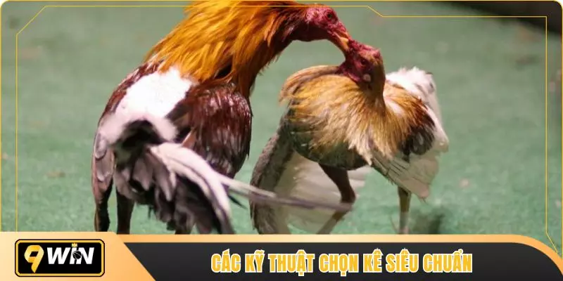 Các kỹ thuật chọn kê siêu chuẩn