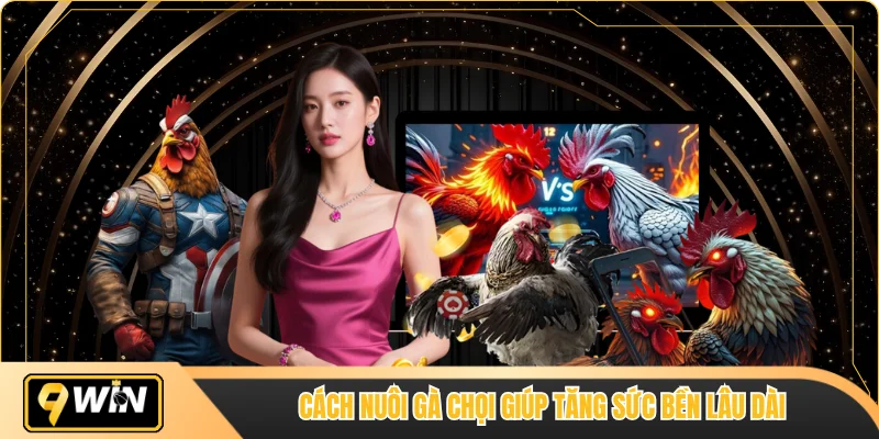 Cách nuôi gà chọi giúp tăng sức bền lâu dài