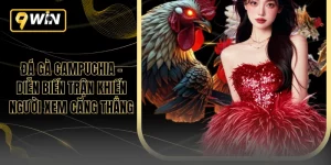 Đá Gà Campuchia - Diễn Biến Trận Khiến Người Xem Căng Thẳng