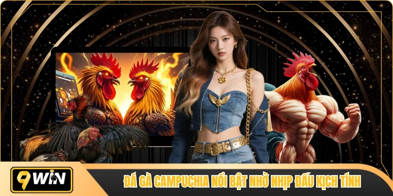 Đá gà Campuchia nổi bật nhờ nhịp đấu kịch tính