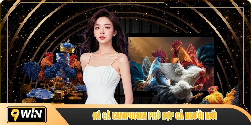 Đá gà Campuchia phù hợp cả người mới