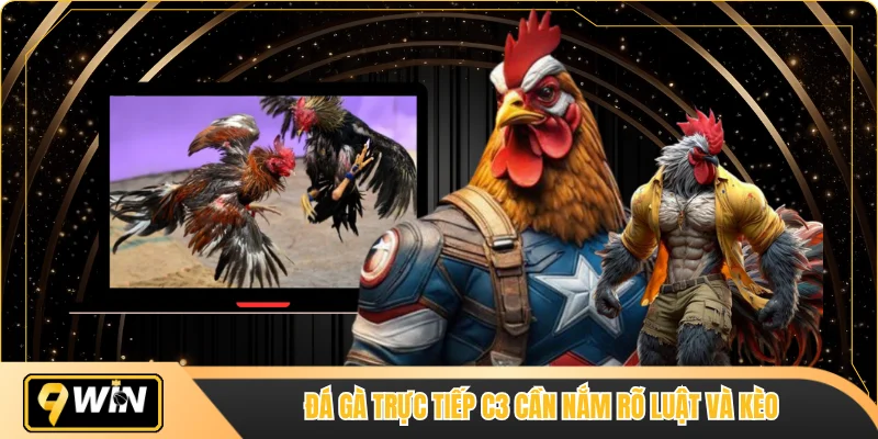 Đá gà trực tiếp C3 cần nắm rõ luật và kèo
