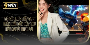 Đá Gà Trực Tiếp C3 - Trận Đấu Dồn Dập Thu Hút Người Theo Dõi