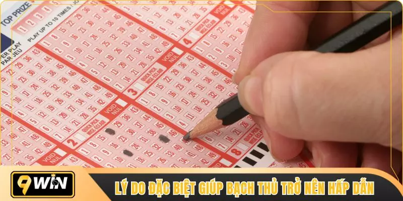 Lý do đặc biệt giúp bạch thủ trở nên hấp dẫn