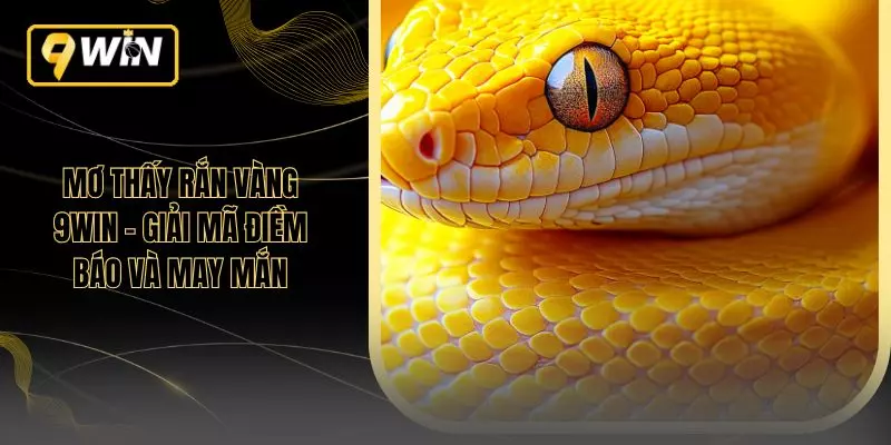 Mơ Thấy Rắn Vàng 9WIN – Giải Mã Điềm Báo Và May Mắn