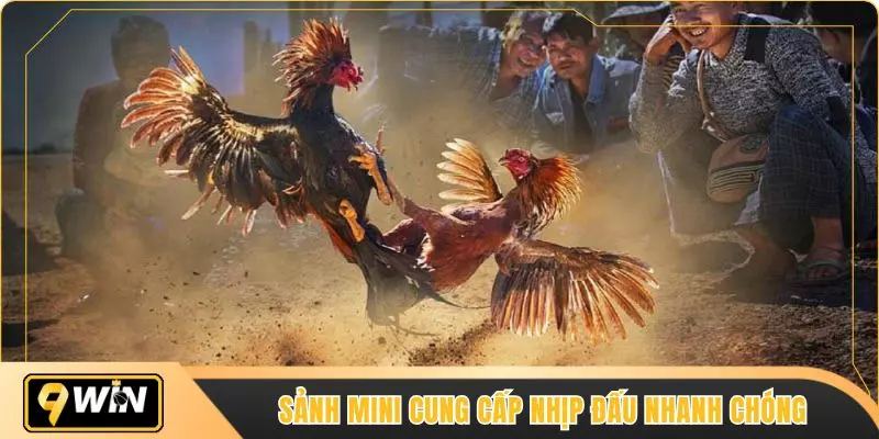 Sảnh mini cung cấp nhịp đấu nhanh chóng