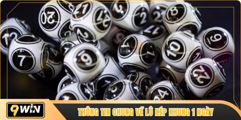 Thông tin chung về lô kép khung 1 ngày